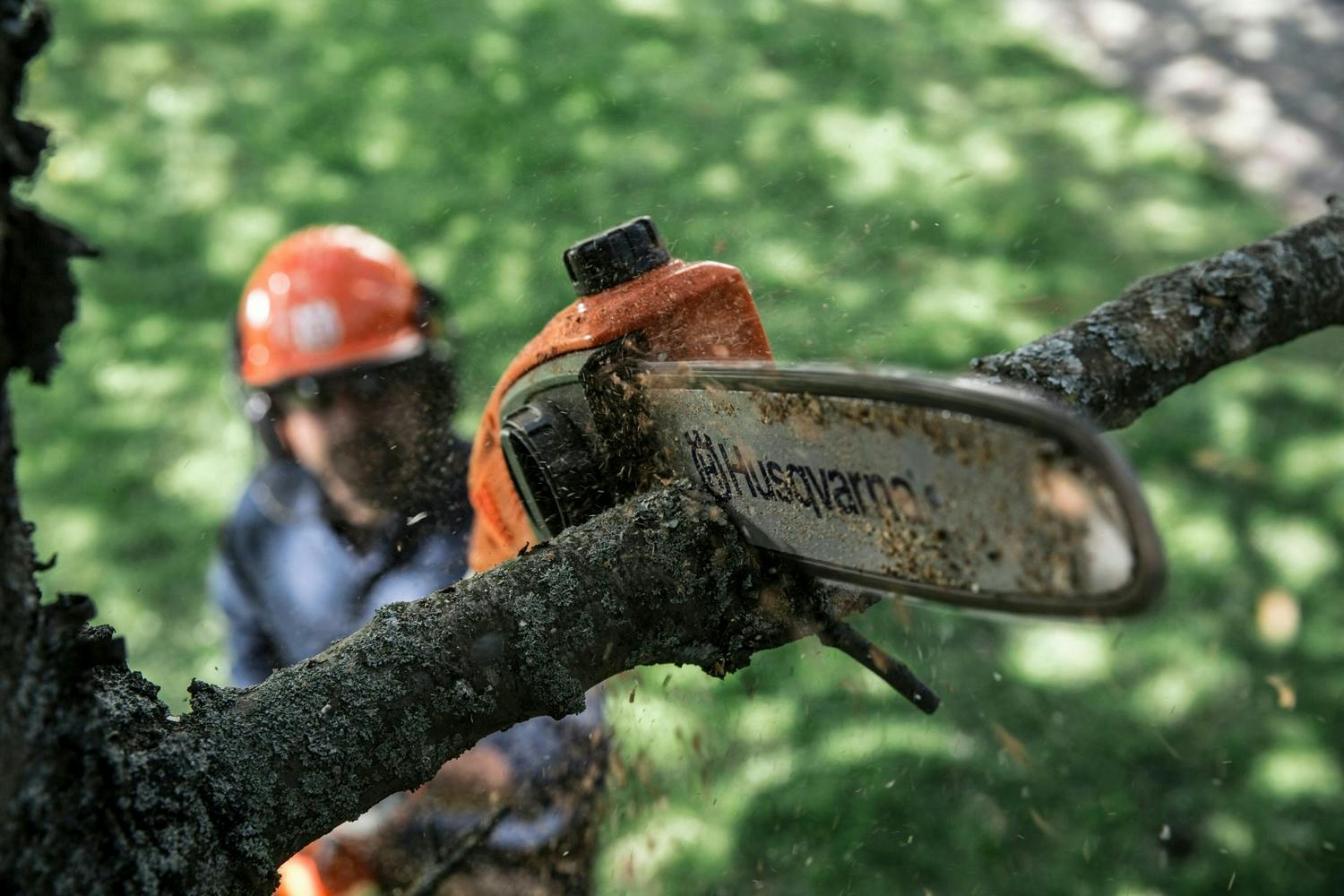 Testasimme 6 oksasahaa Oksasaha testi